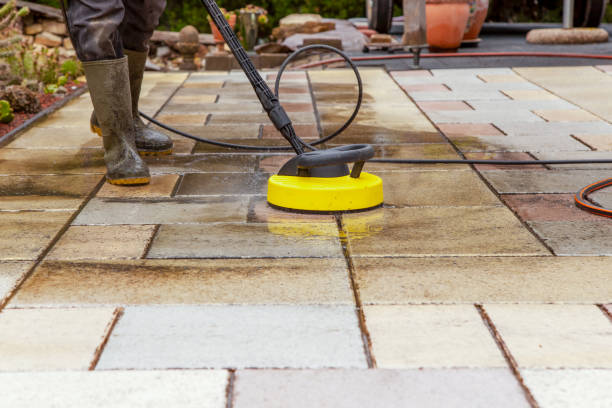Best Fence Cleaning  in Lopezville, TX